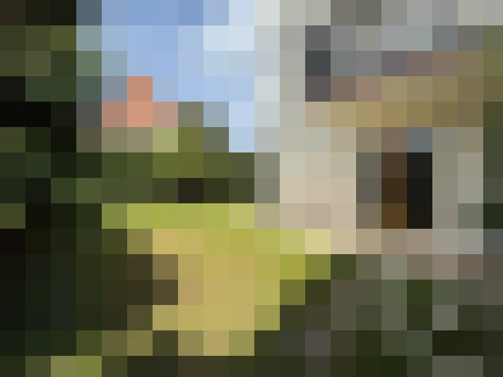  / #13