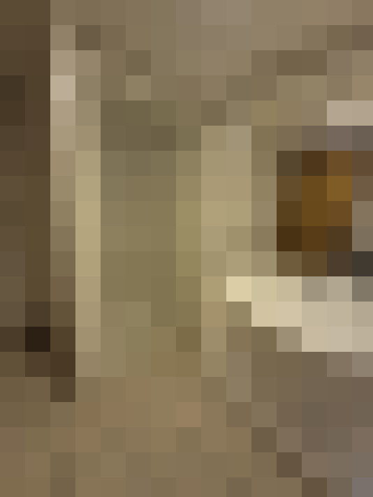  / #15