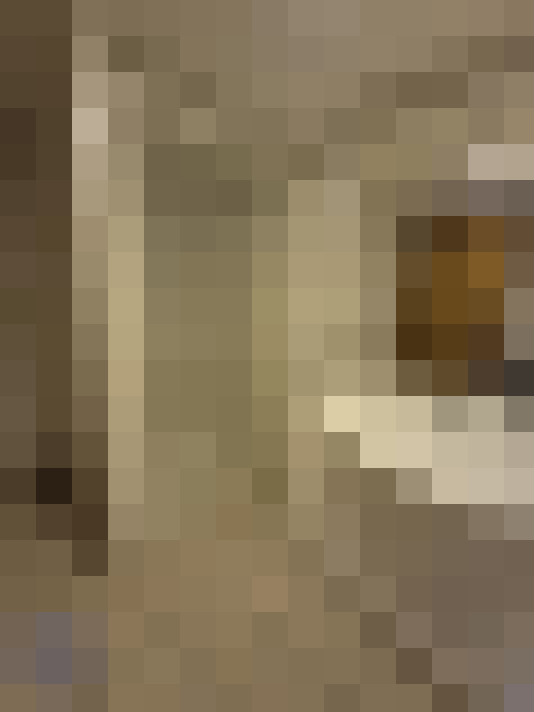  / #16