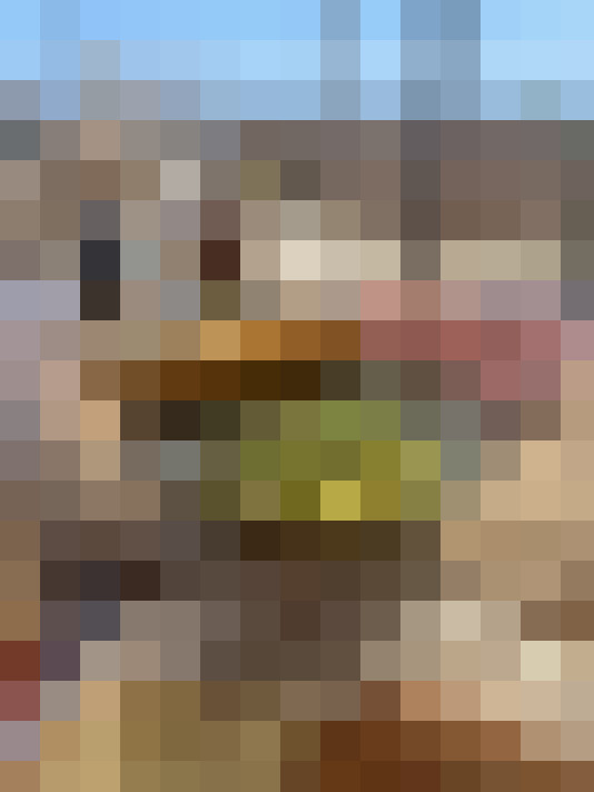  / #19