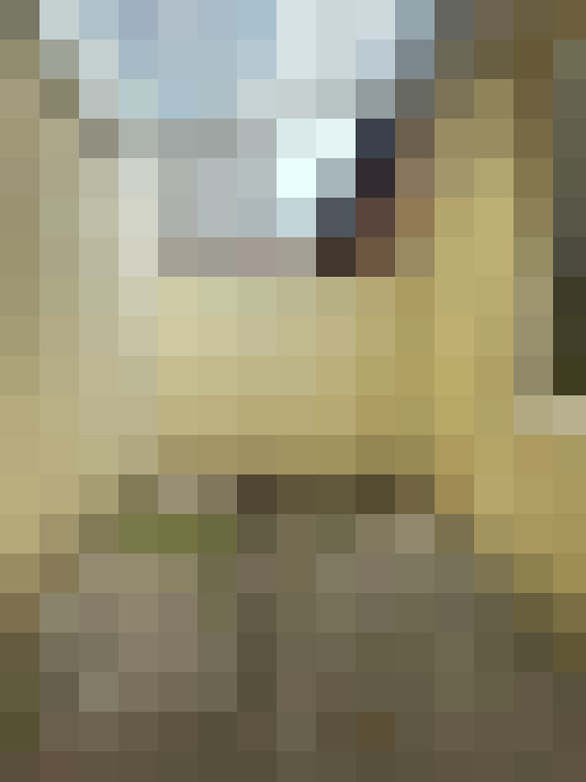  / #12