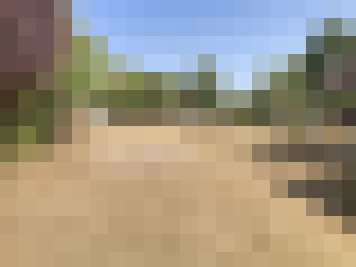  / #14