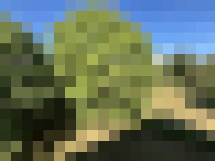  / #8