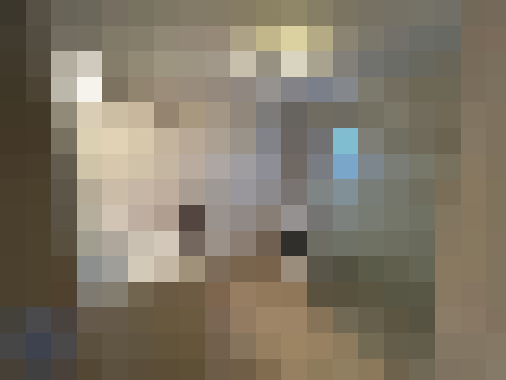  / #7