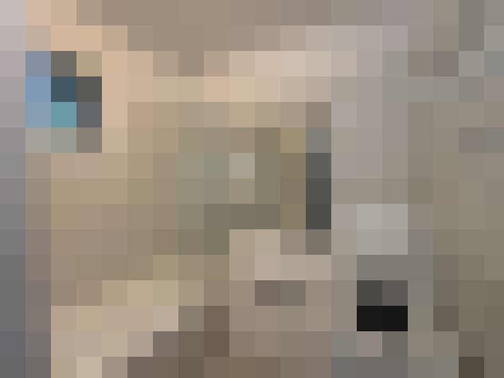  / #7