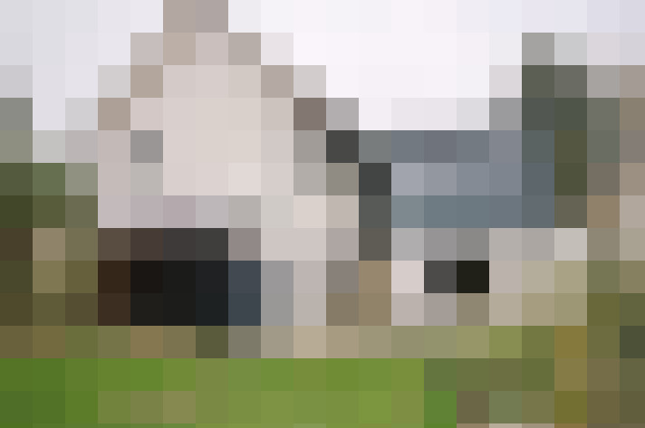  / #22