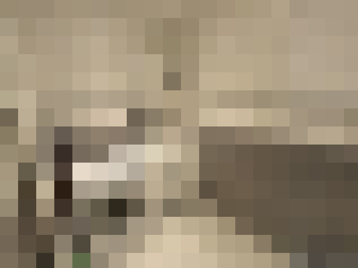  / #8