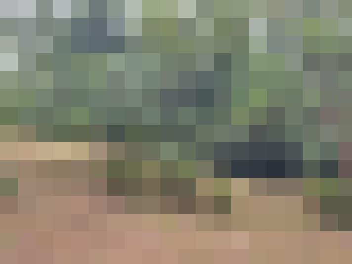  / #14