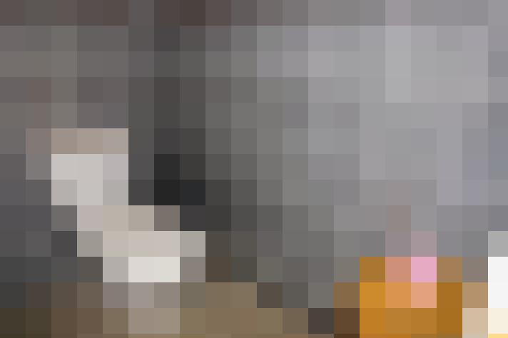  / #14