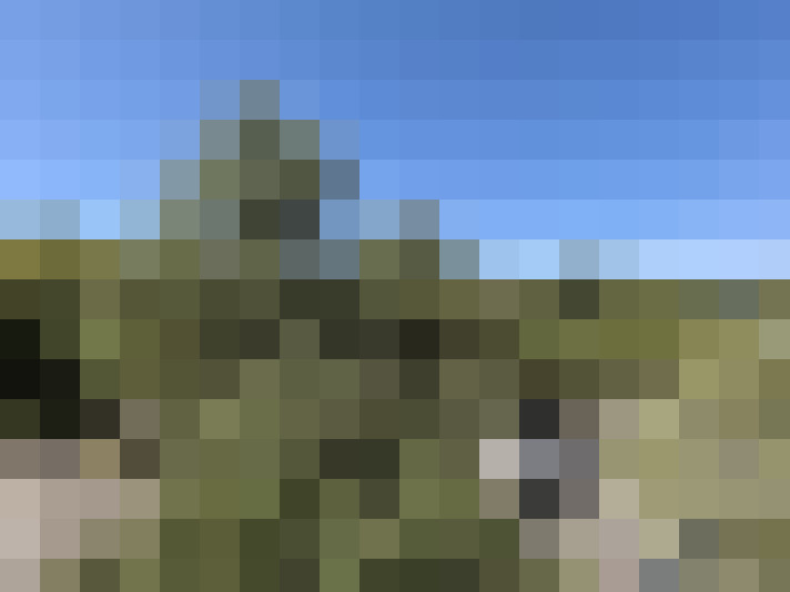  / #11