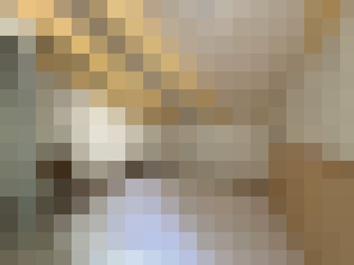  / #17