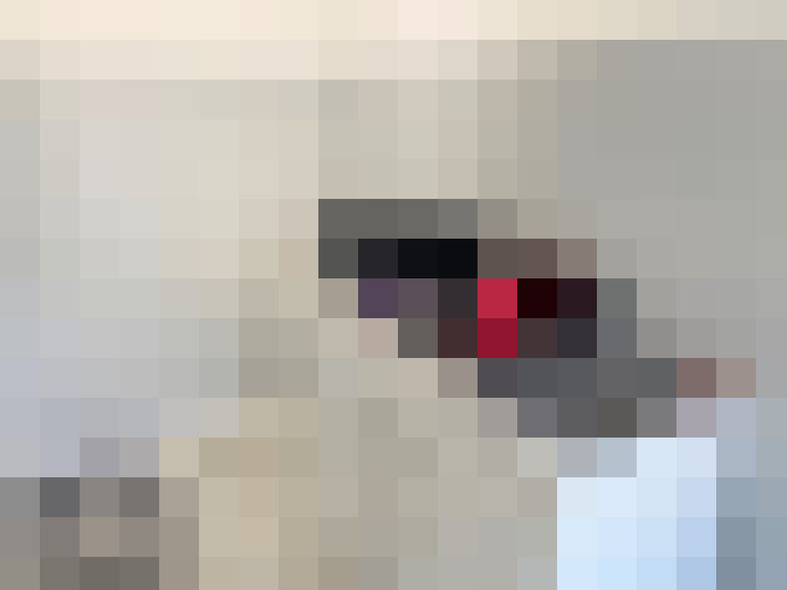  / #7