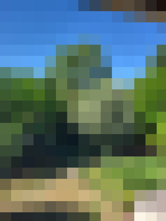  / #6