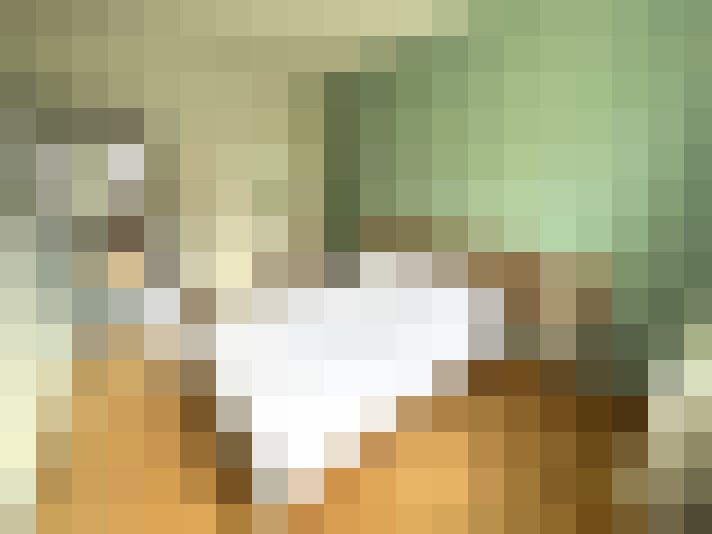  / #14