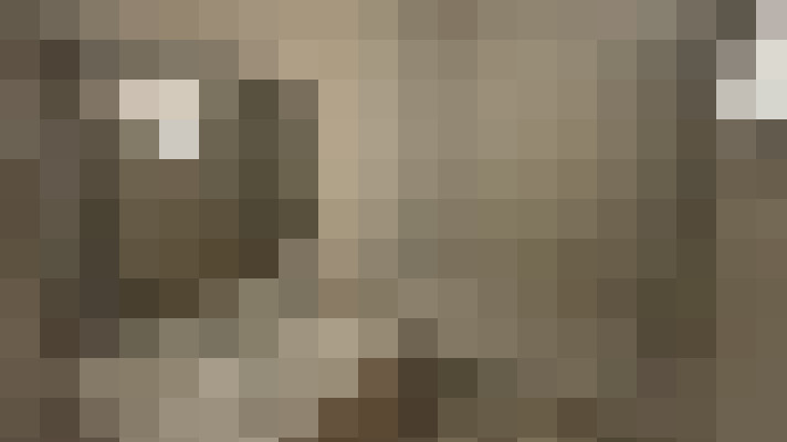 / #11