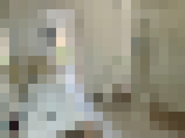  / #6