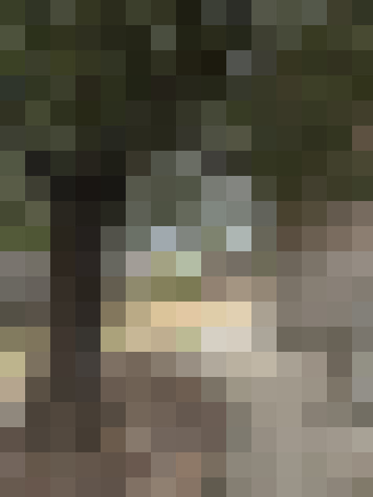  / #14