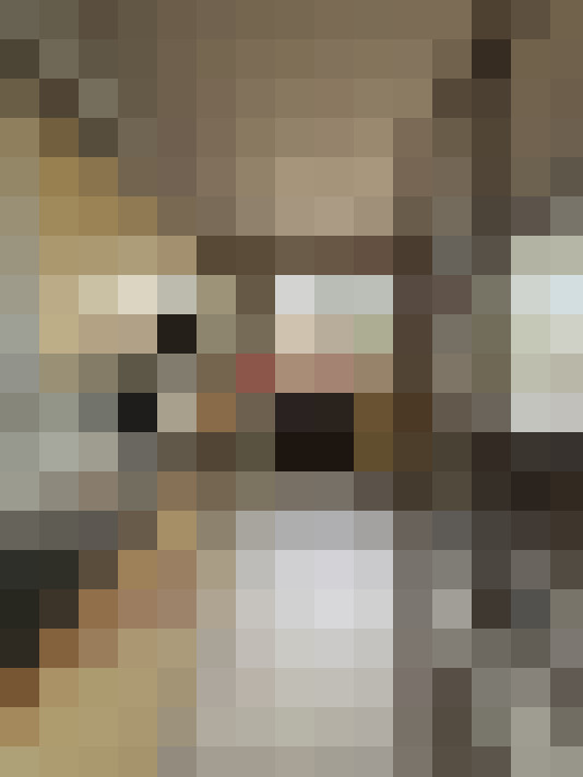  / #15