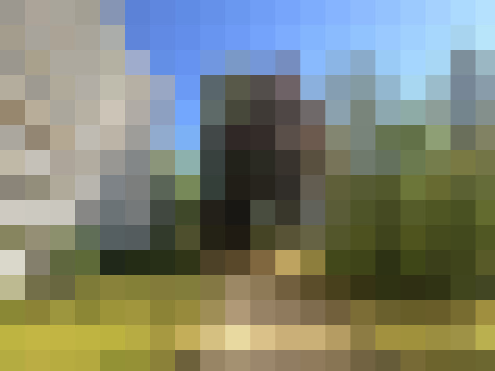  / #14