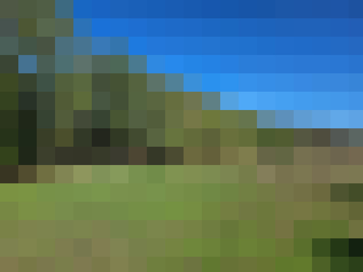  / #7