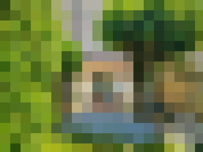  / #15