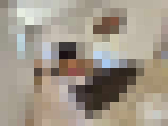  / #7