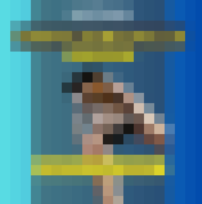  / #11