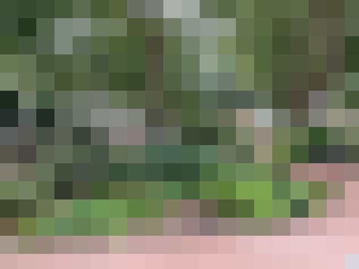  / #16