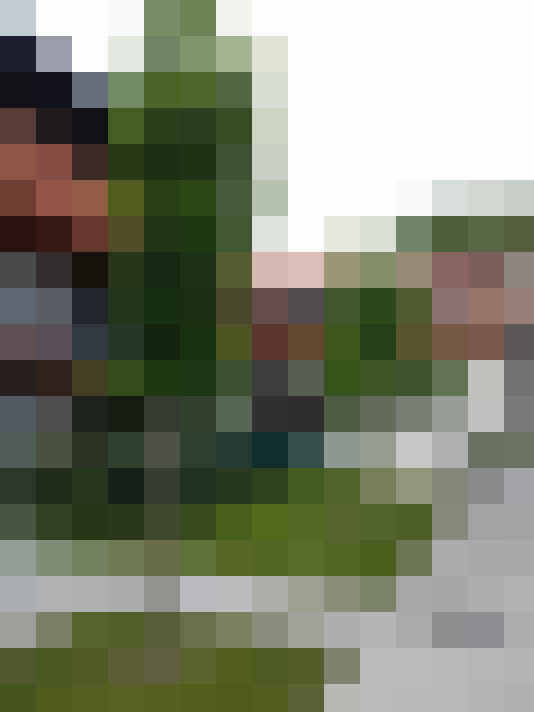  / #11