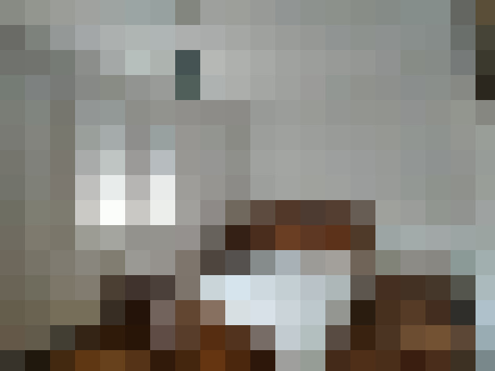  / #6