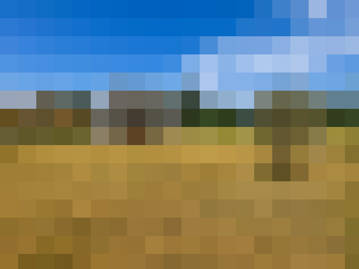  / #7