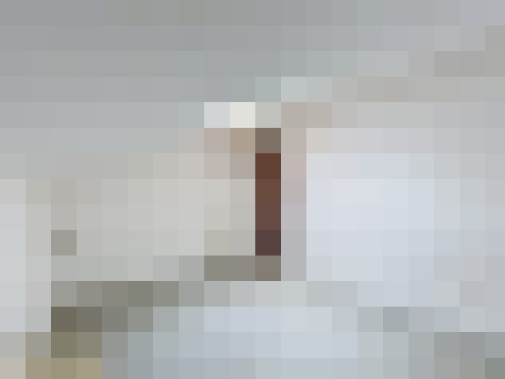  / #20