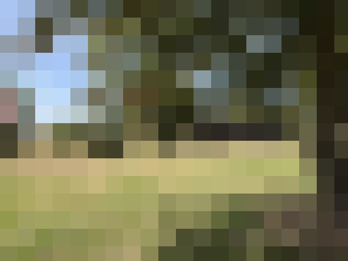 / #11