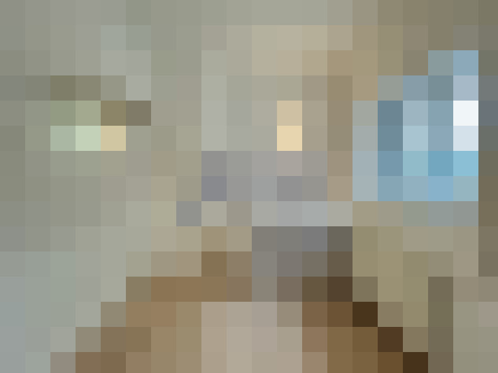  / #13