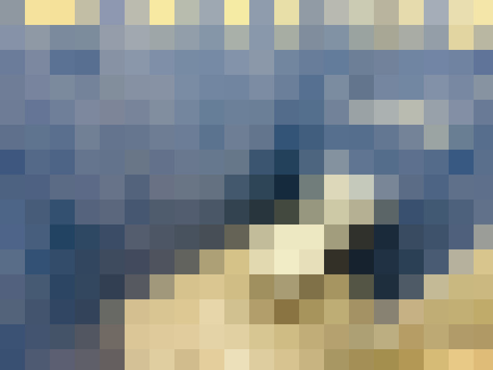  / #14