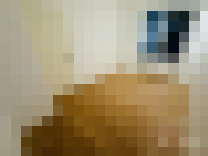  / #15