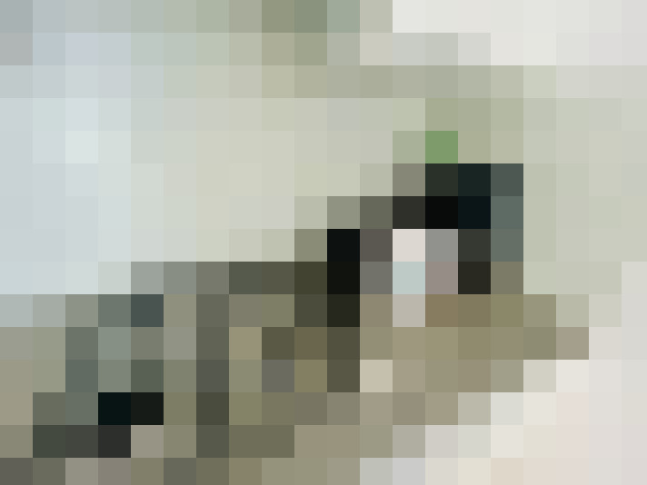  / #13