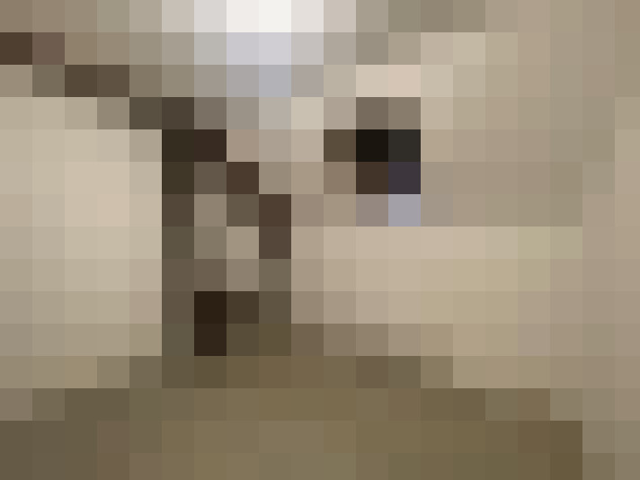  / #7