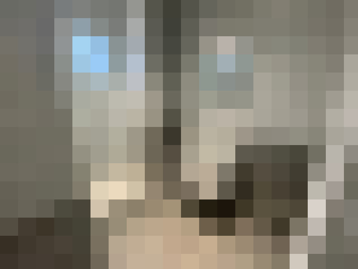  / #8
