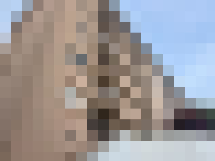  / #14