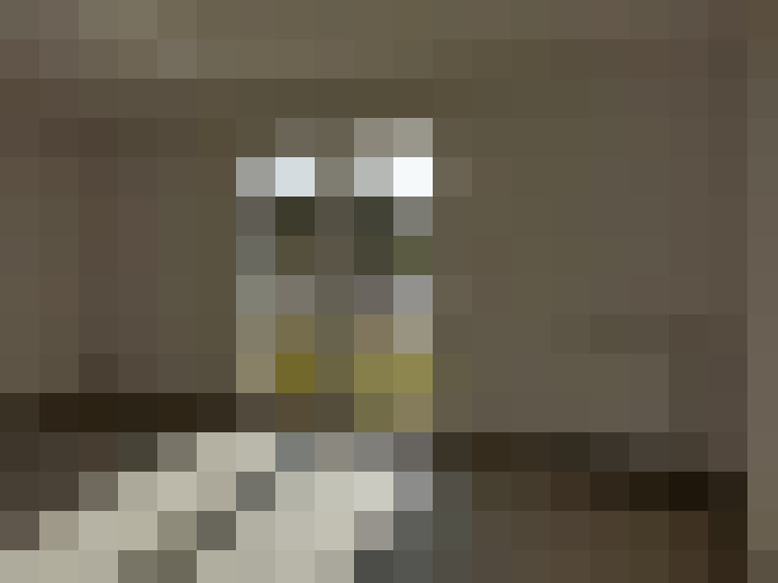  / #2