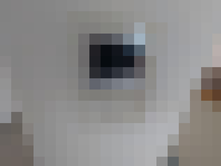  / #15