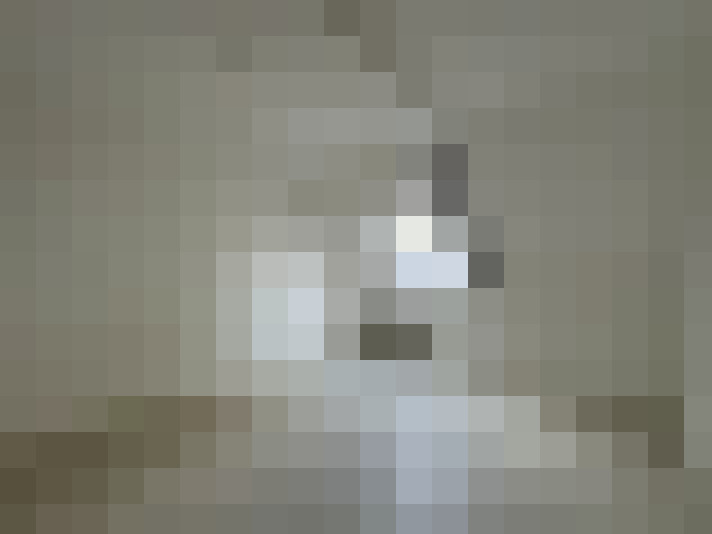  / #8
