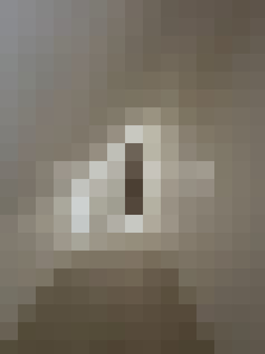  / #6