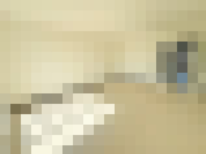  / #6
