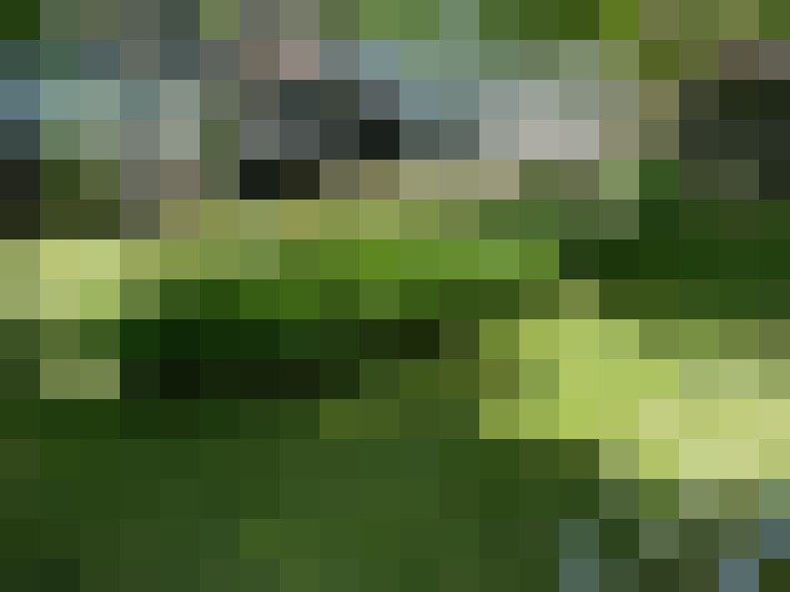  / #16