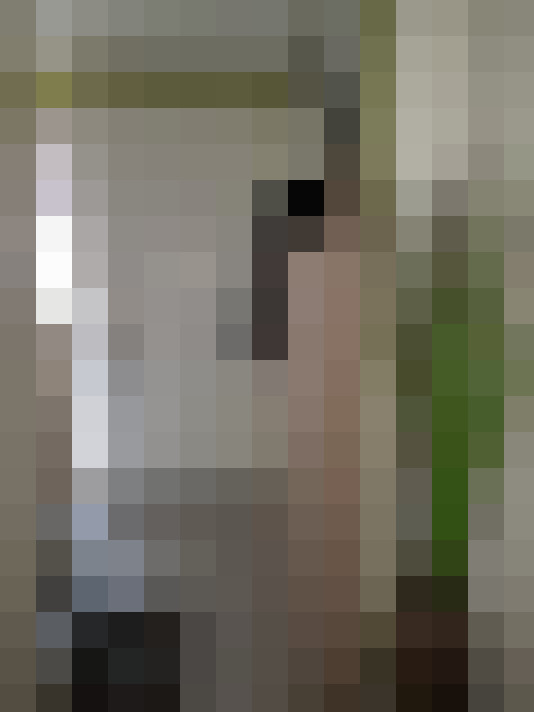  / #15
