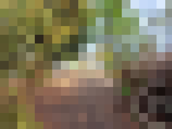  / #17