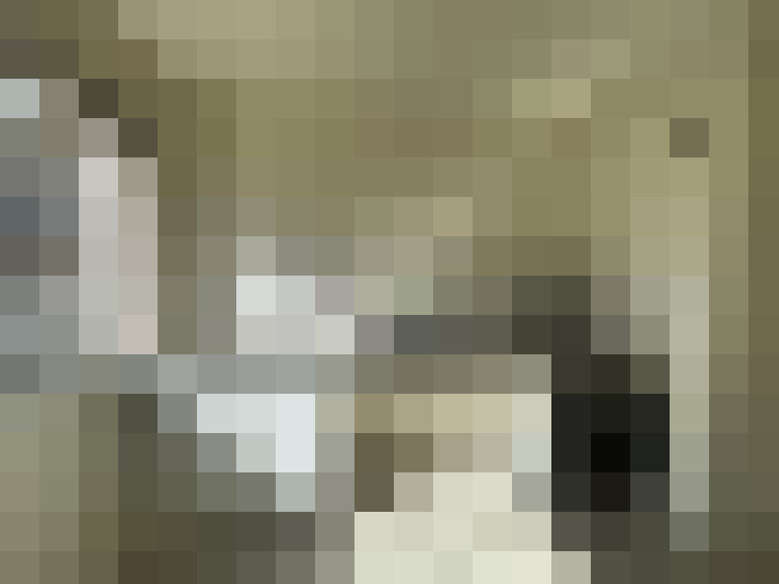  / #8