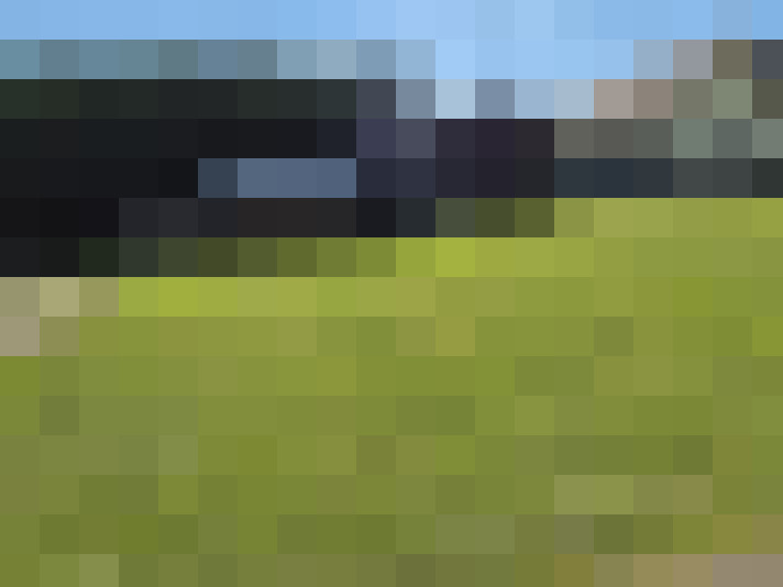  / #7